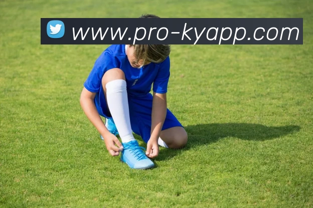 开云体育服务体系